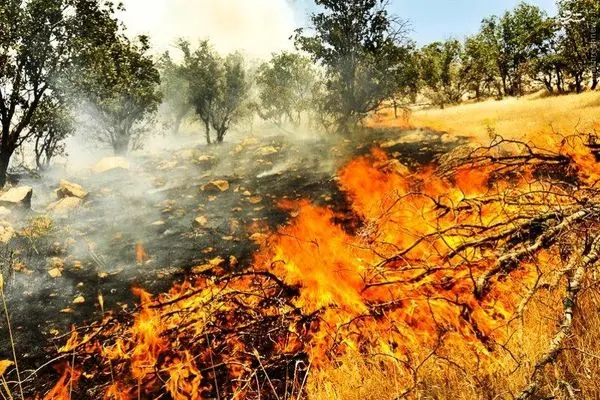 تعبیر خواب آتش افروختن: از نگاه سنتی تا روان‌شناسی مدرن در ۷ روایت