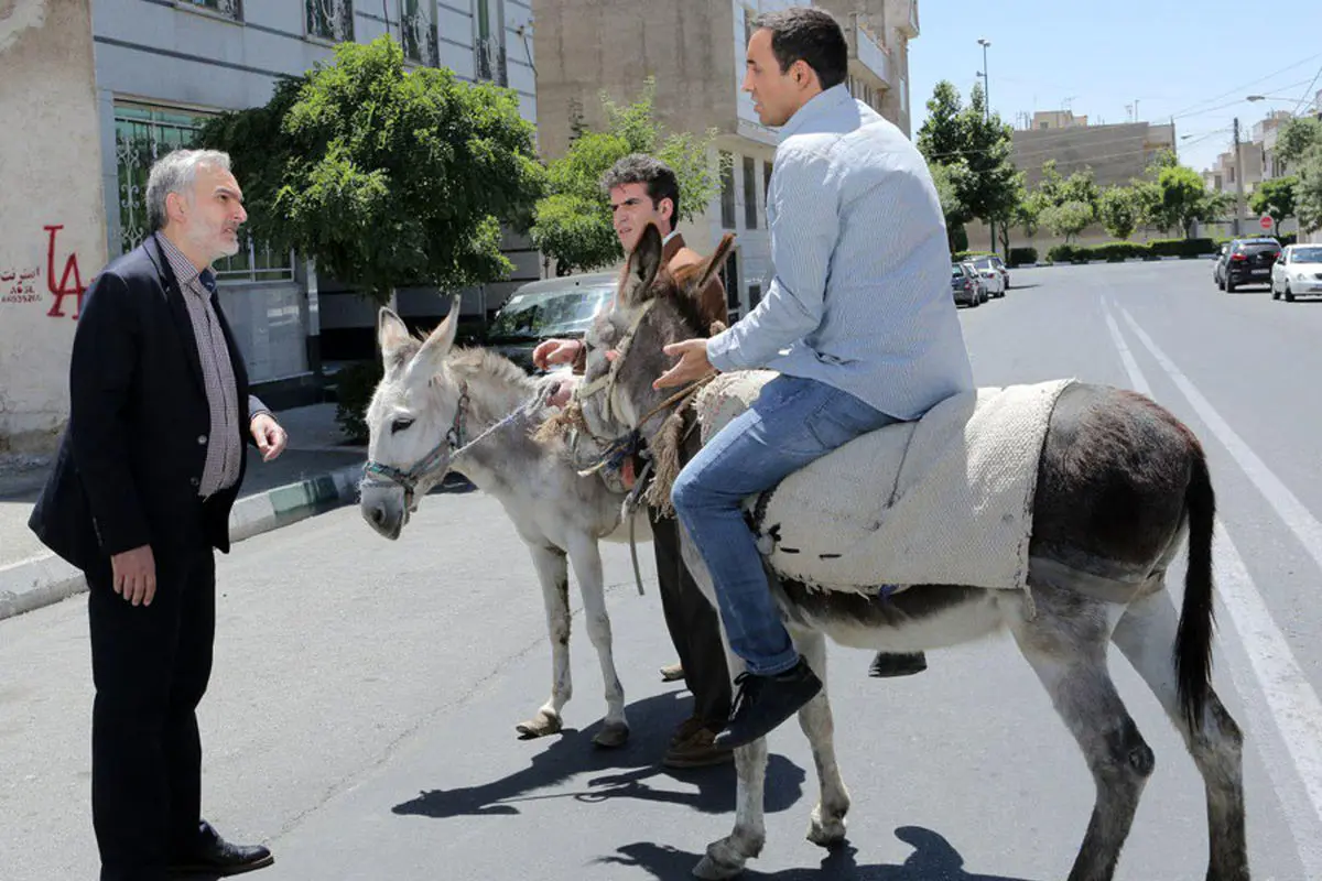 لیسانس زیست شناسی داره اما واحد شمارش چهارپا رو نمیدونه