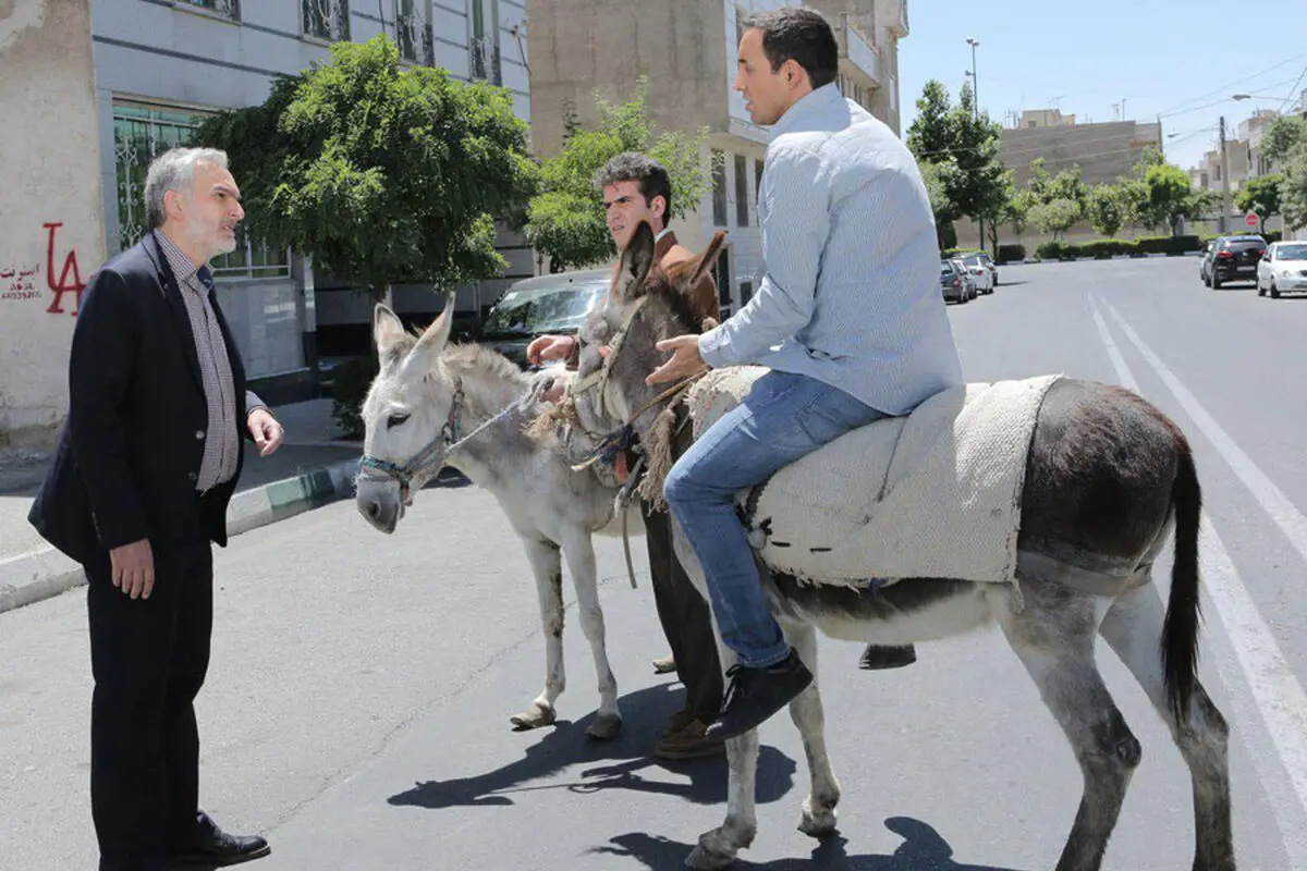 لیسانس زیست شناسی داره اما واحد شمارش چهارپا رو نمیدونه