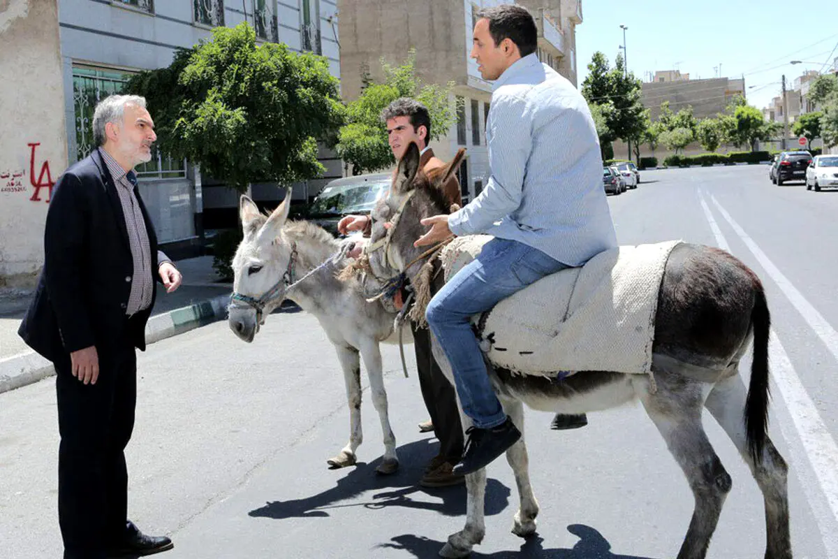 لیسانس زیست شناسی داره اما واحد شمارش چهارپا رو نمیدونه