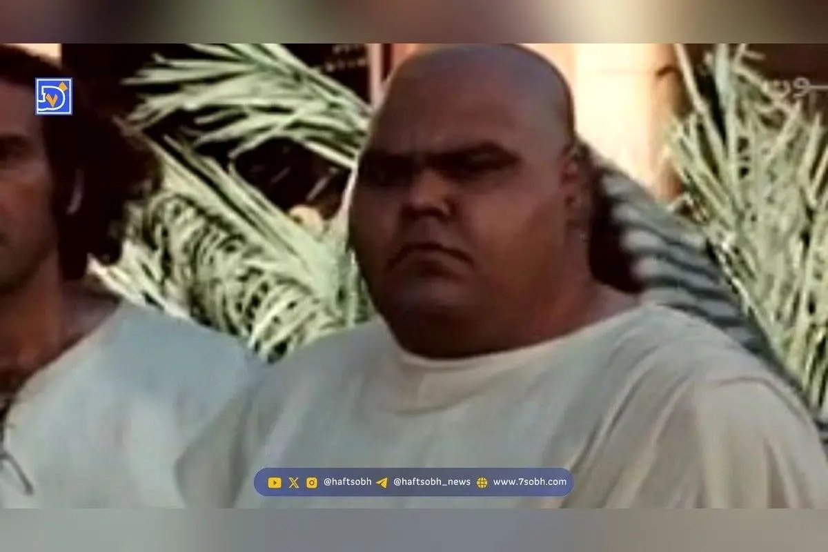 حمیدرضا دشتی؛ بازیگر و تهیه‌کننده‌ای که در نقش بینگی در سفر در زمان ظاهر شد