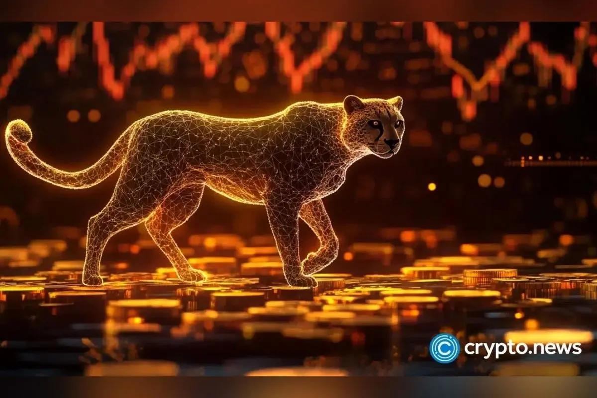 قیمت کتکوین پس از لیست در کوینبیس با جهش 17 درصدی و رشد قابل توجه در انتظار آیندهی پرپتانسیل