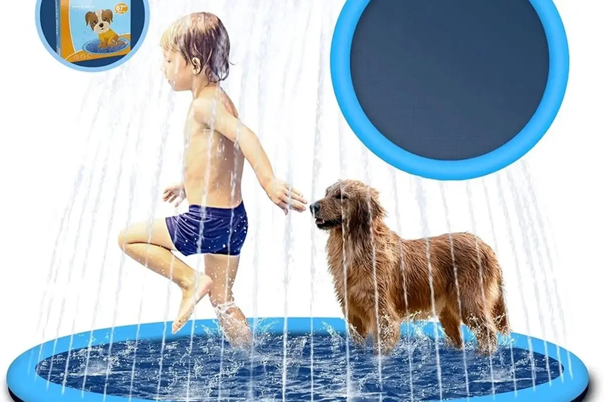 کدوم بیشترین لذت رو میبره؟ فکر کنم سگه