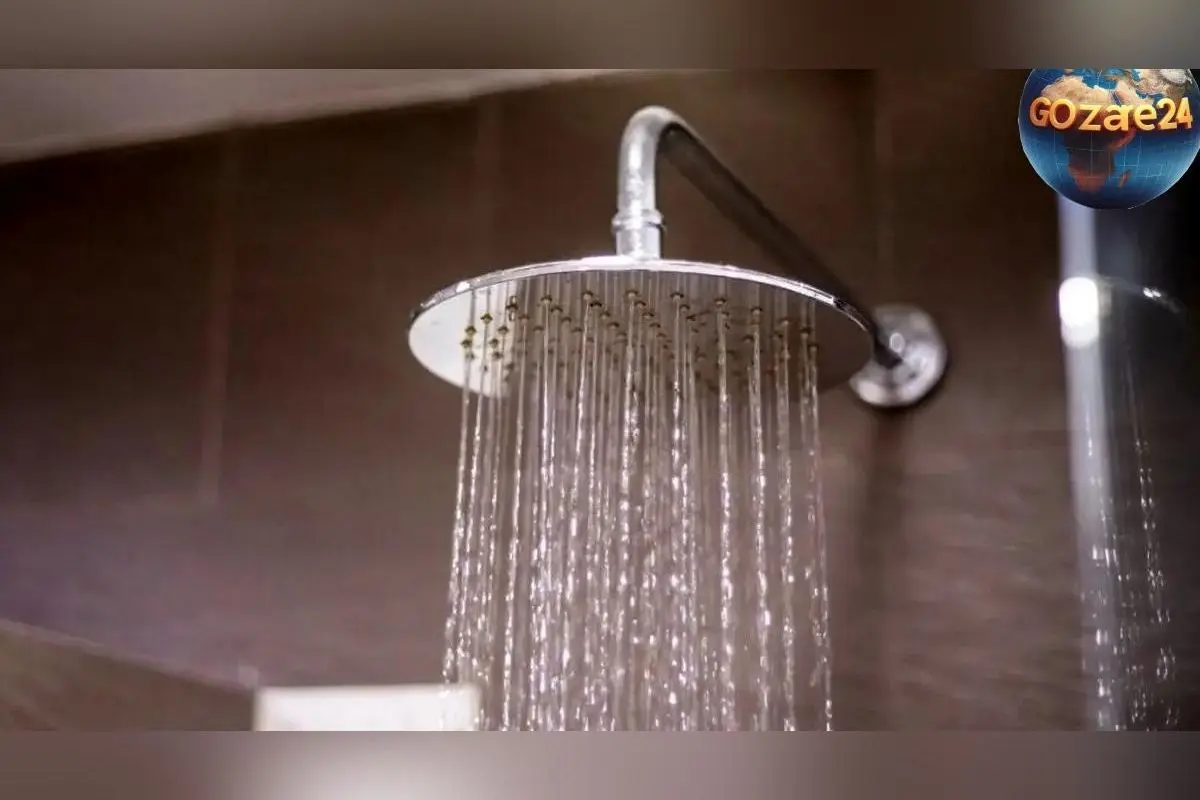 این سلبریتی‌ها چطور از حمام کردن اجتناب می‌کنند؟ رازهای عجیب و باورنکردنی ستاره‌های جهانی درباره نظافت شخصی