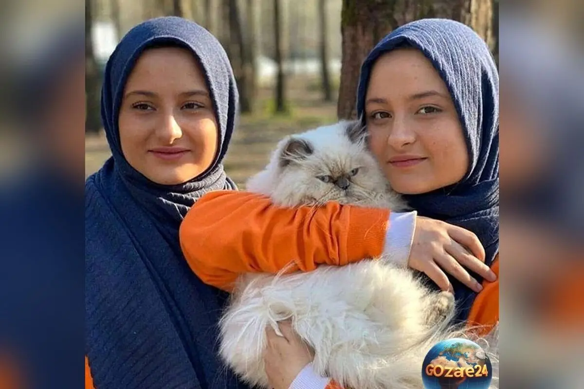 سکانس غش‌آور نقی با سارا و نیکای پایتخت؛ تماشای این قسمت را هزار بار هم ببینید! + فیلم و لحظه‌های خنده‌دار