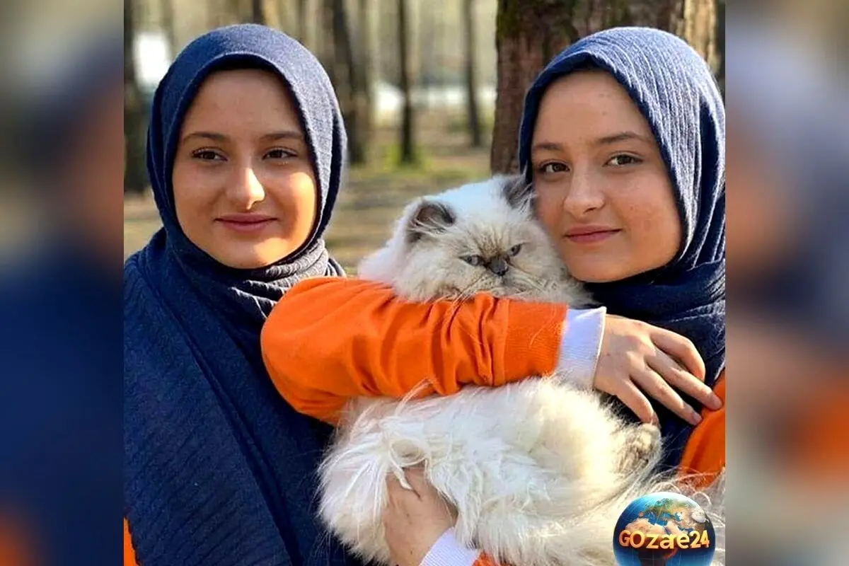 سکانس غش‌آور نقی با سارا و نیکای پایتخت؛ تماشای این قسمت را هزار بار هم ببینید! + فیلم و لحظه‌های خنده‌دار
