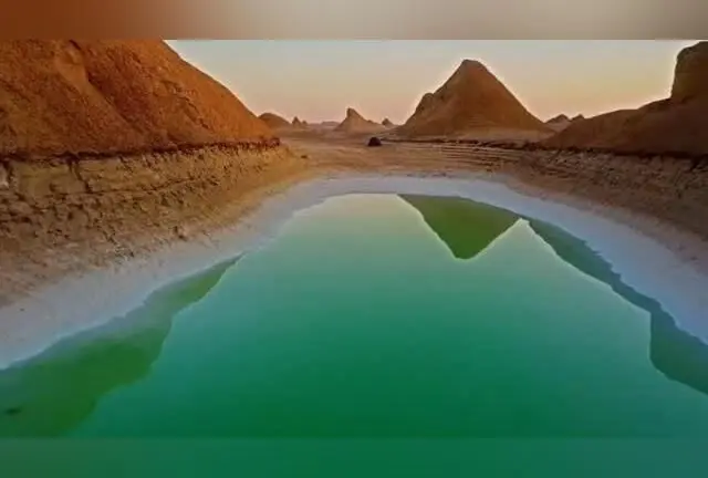 بهنوش طباطبایی در کنار سلیمان حییم، پدر فرهنگ‌نویسی و