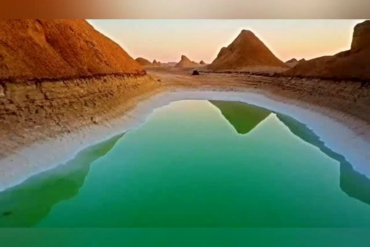 بهنوش طباطبایی در کنار سلیمان حییم، پدر فرهنگنویسی و