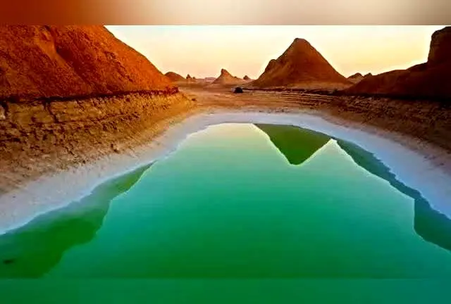 بهنوش طباطبایی در کنار سلیمان حییم، پدر فرهنگ‌نویسی و