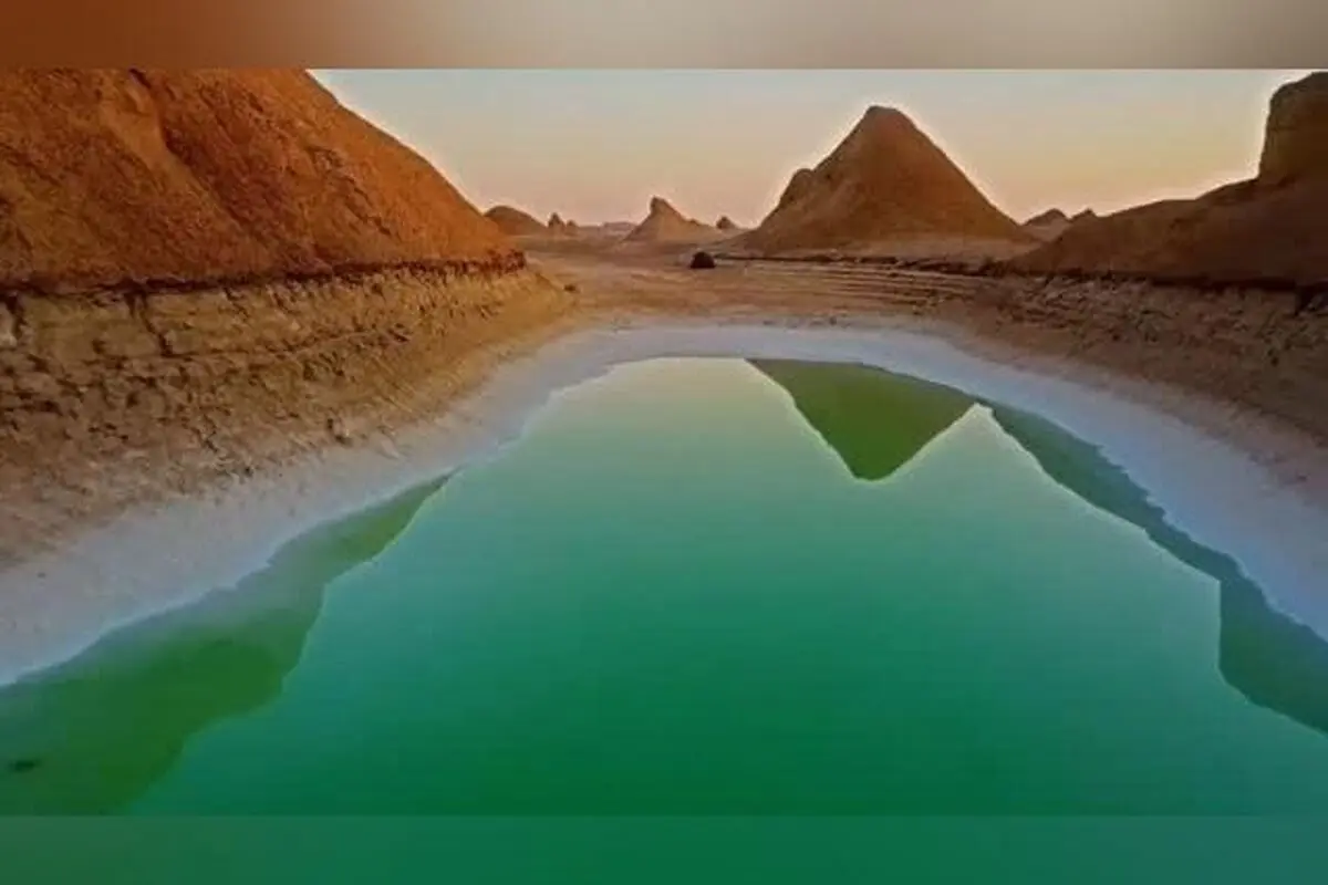 بهنوش طباطبایی در کنار سلیمان حییم، پدر فرهنگ‌نویسی و