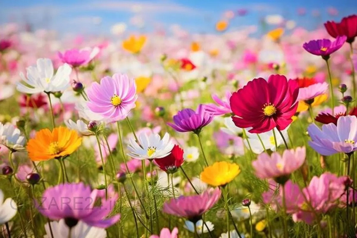 پیام‌های تبریک نوروز برای بستگان و فامیل | جملات صمیمانه برای اقوام دور و نزدیک