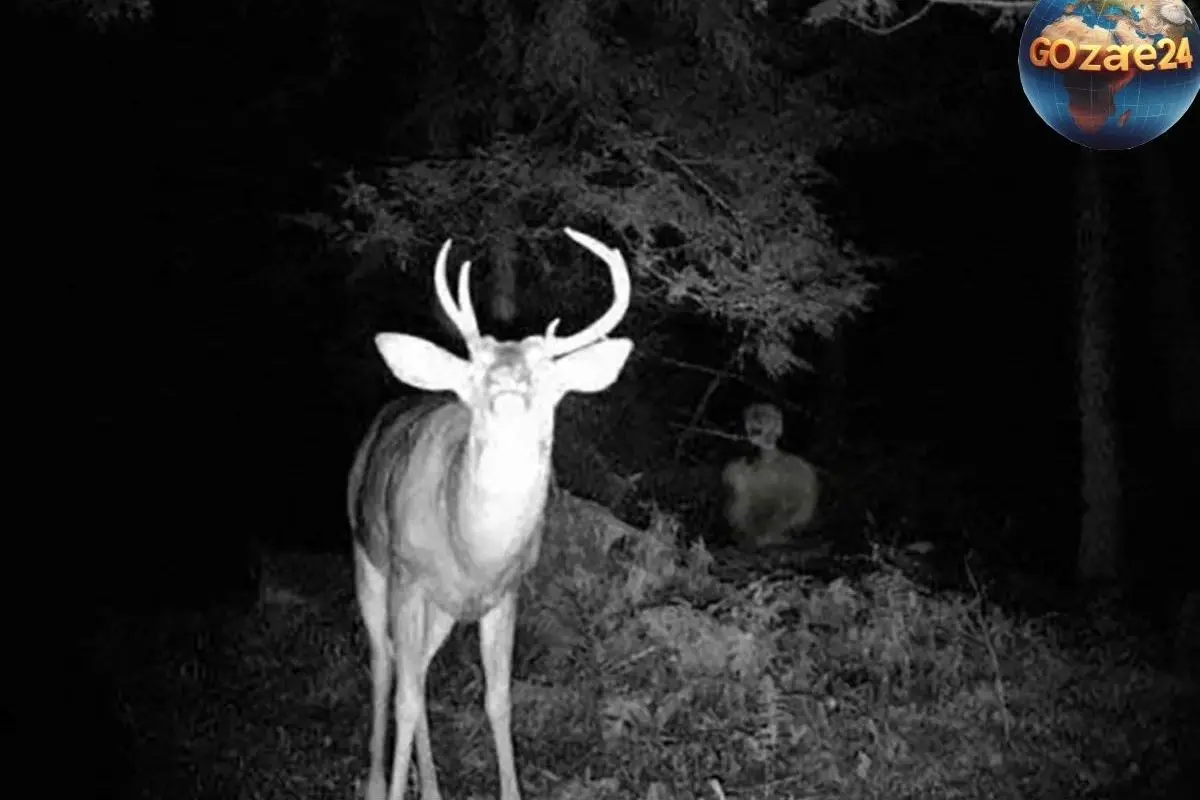 رازهای جن‌ها: نام‌های معروف، نقش‌ها و راه‌های حفاظت در روایات اسلامی