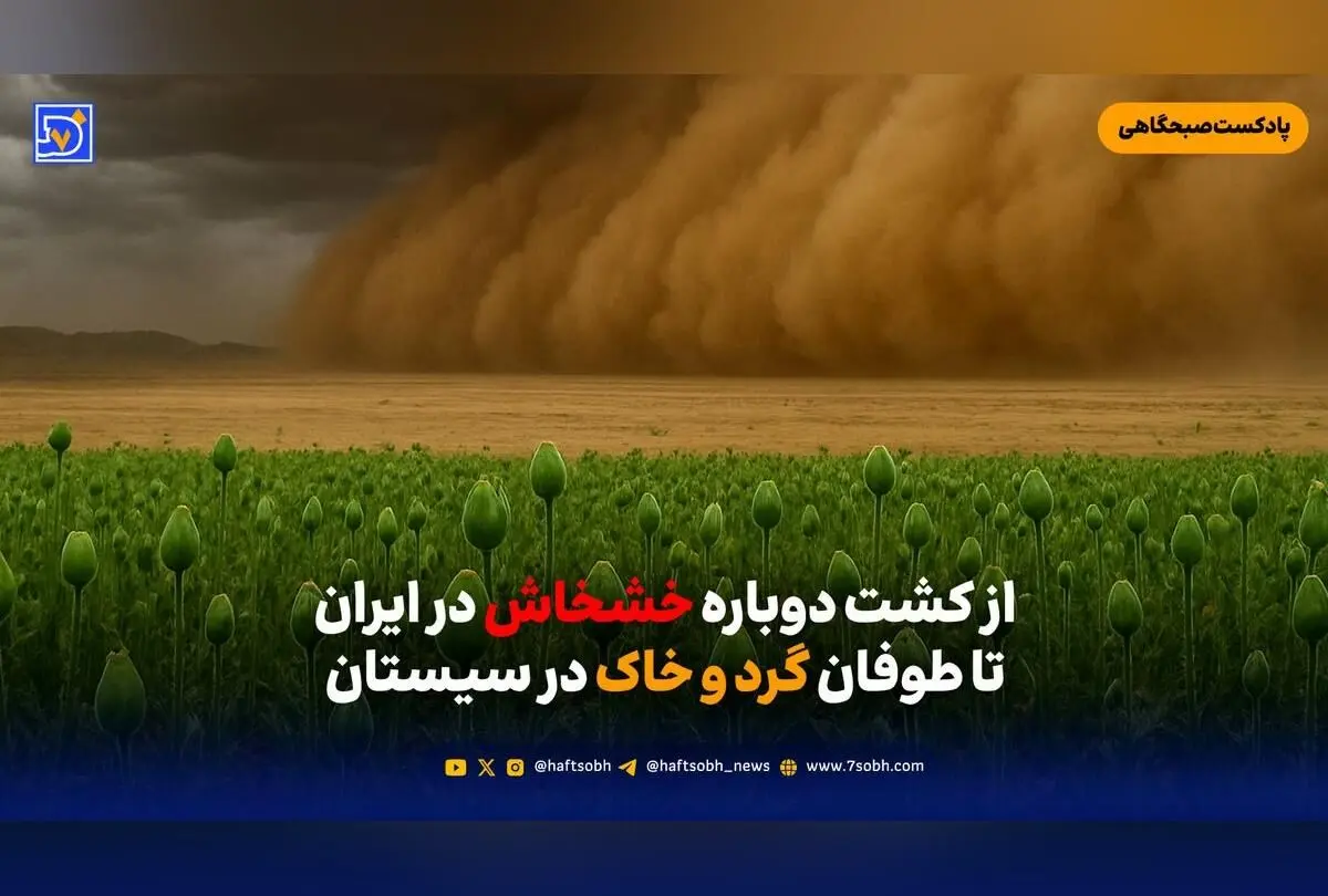 آیا جنگل‌های زاگرس به محلی برای کشت خشخاش تبدیل می‌شود؟ بررسی پیامدهای قانون‌مند کردن کشت این محصول در غرب ایران