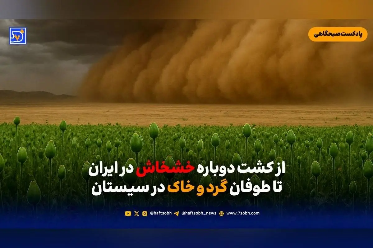 آیا جنگل‌های زاگرس به محلی برای کشت خشخاش تبدیل می‌شود؟ بررسی پیامدهای قانون‌مند کردن کشت این محصول در غرب ایران