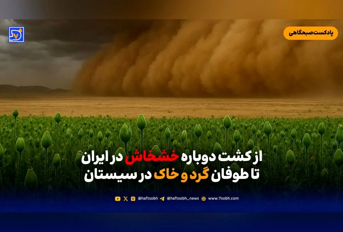 آیا جنگل‌های زاگرس به محلی برای کشت خشخاش تبدیل می‌شود؟ بررسی پیامدهای قانون‌مند کردن کشت این محصول در غرب ایران