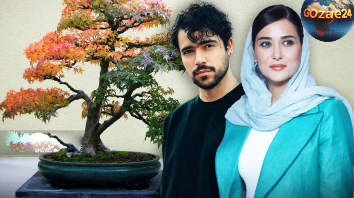 شروین حاجی‌پور در اولین تجربه بازیگری با پریناز ایزدیار در فیلم «بن‌سای» نقش‌آفرینی می‌کند