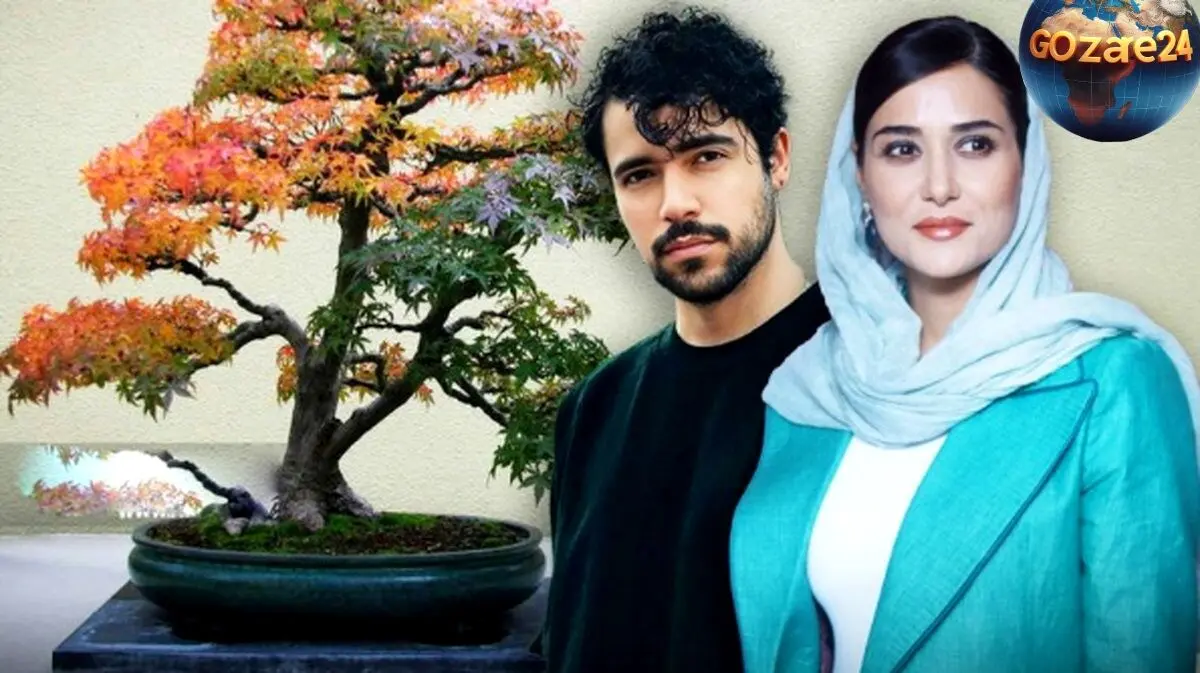شروین حاجی‌پور در اولین تجربه بازیگری با پریناز ایزدیار در فیلم «بن‌سای» نقش‌آفرینی می‌کند