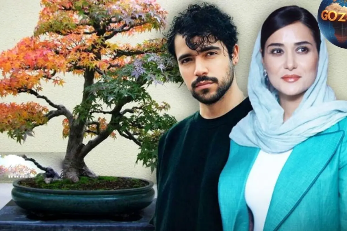 شروین حاجی‌پور در اولین تجربه بازیگری با پریناز ایزدیار در فیلم «بن‌سای» نقش‌آفرینی می‌کند