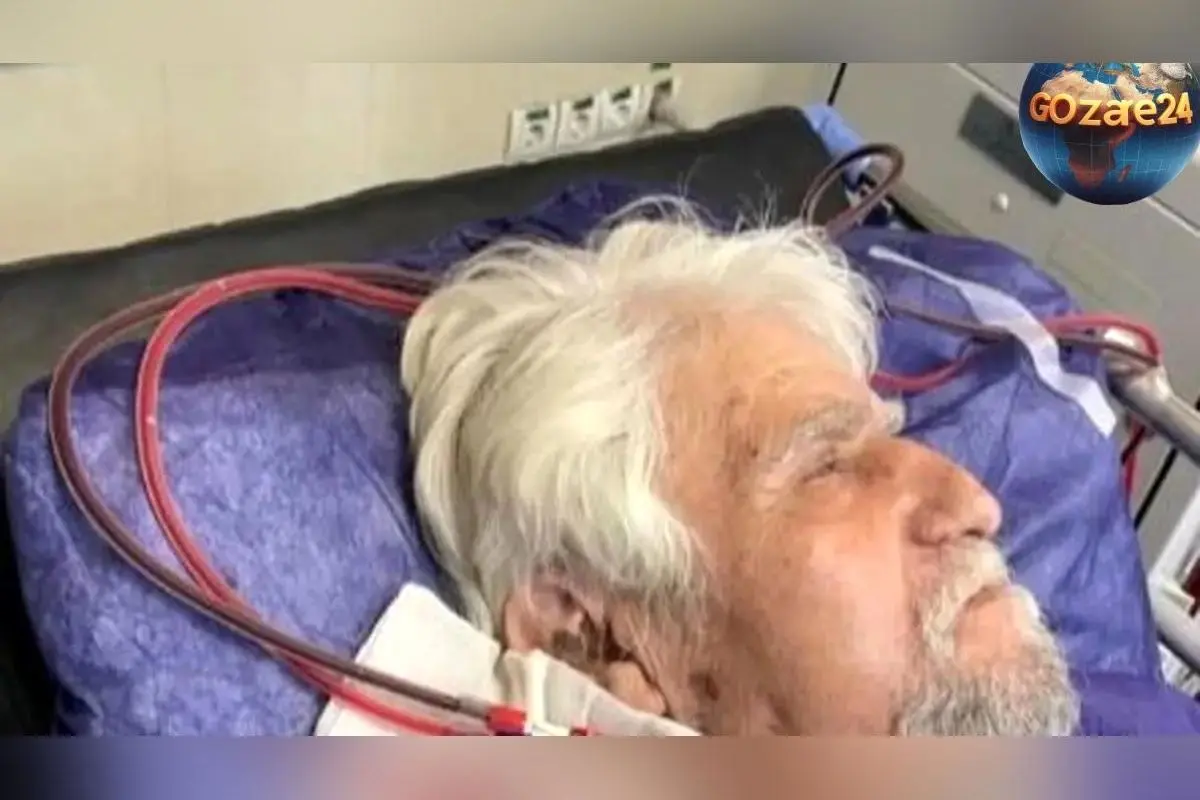 درگذشت عنایت بخشی بازیگر ماندگار «پهلوانان نمی میرند»؛ پیام تسلیت بازیگران و هنرمندان در پی از دست رفتن پیشکسوت سینما و تلویزیون