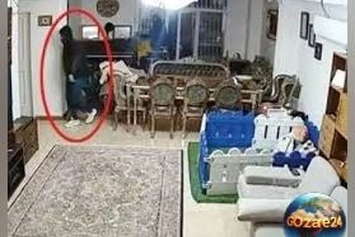نفیسه روشن با کمک دوربین‌های منزلش از سرقت جلوگیری کرد و تصاویر دزدها را منتشر کرد + ویدیو
