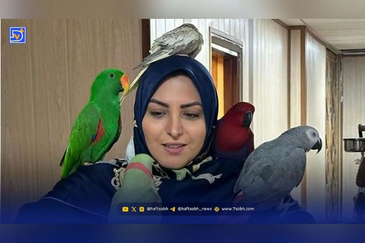 تیپ مجلسی و خاص المیرا شریفی‌مقدم در برنامه جشن میلاد پیامبر اسلام (ص)