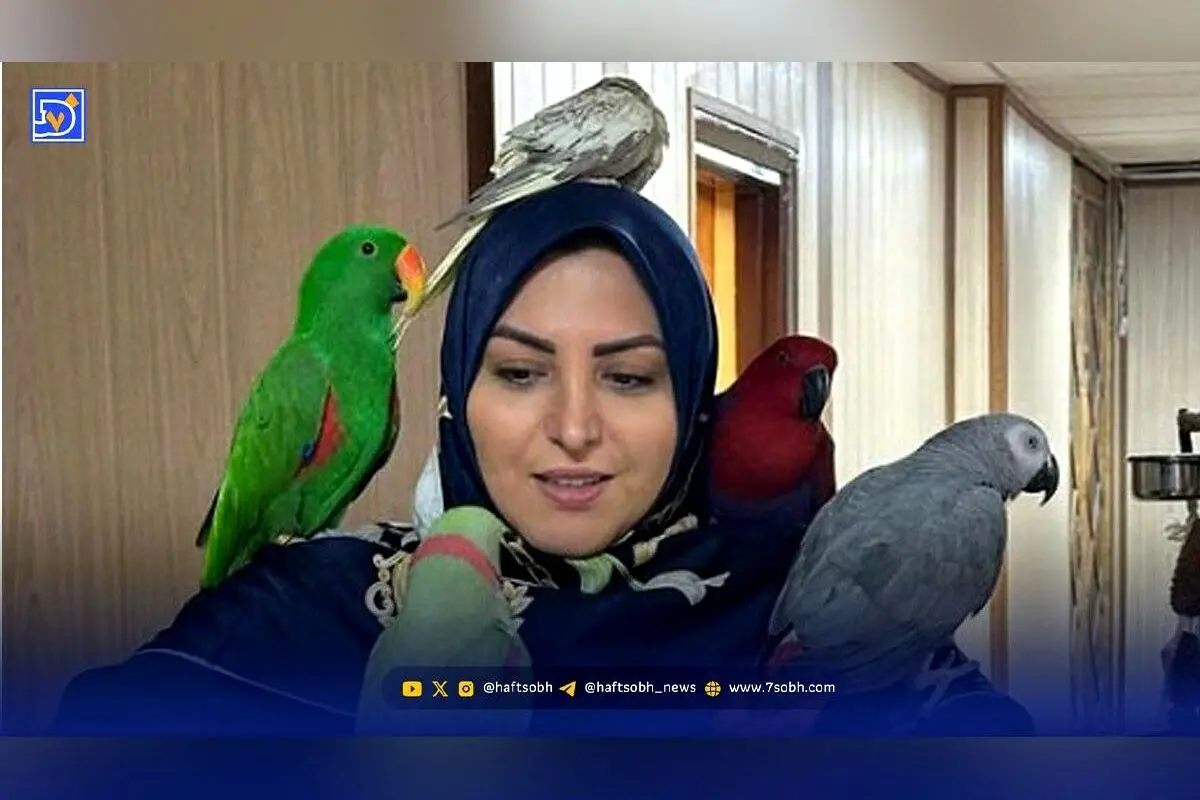 تیپ مجلسی و خاص المیرا شریفی‌مقدم در برنامه جشن میلاد پیامبر اسلام (ص)