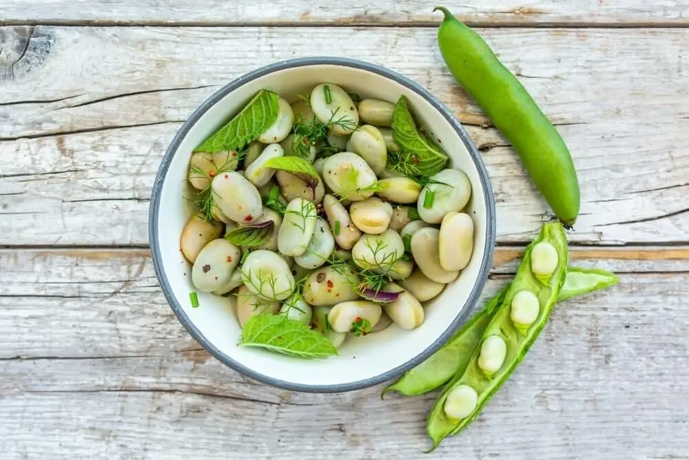 تعبیر خواب باقلا: از نگاه سنتی تا روان‌شناسی مدرن در ۷ روایت