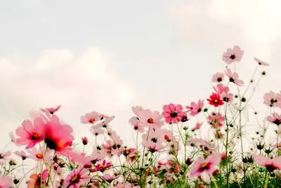 پیام‌های تبریک نوروز برای خانواده | جملات خاص برای پدر، مادر، همسر و فرزندان