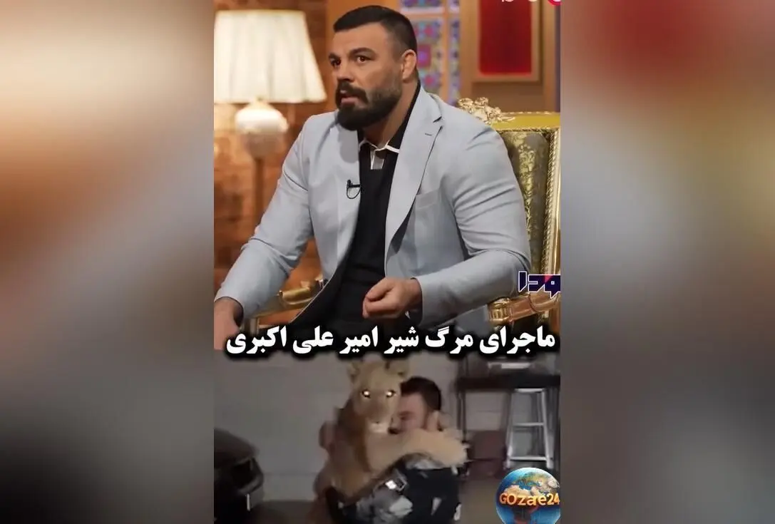 ماجرای مرگ تلخ شیر خانگی امیر علی‌اکبری و داستان عجیب الاغ جفت‌وجور زده در باغ‌وحش