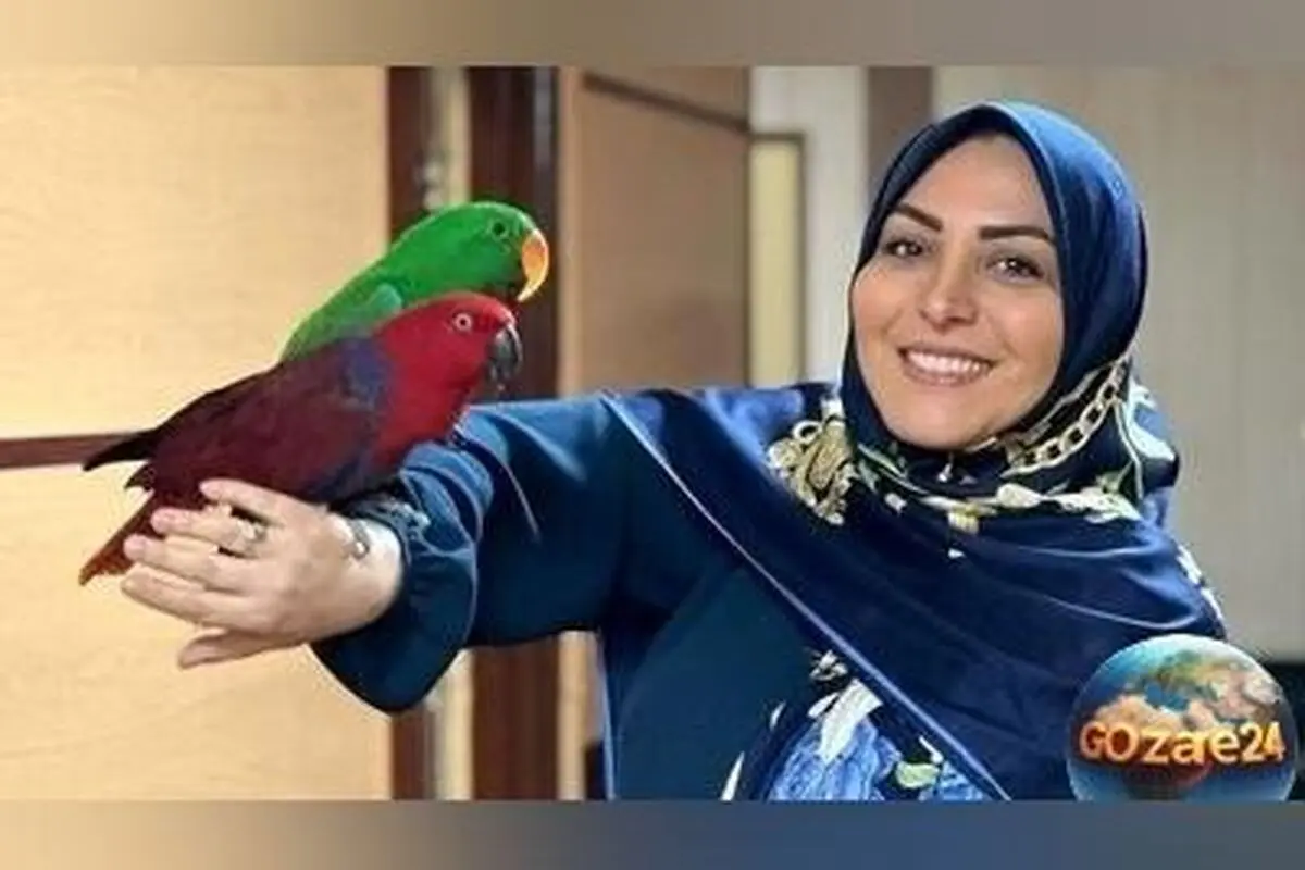 استایل مجلسی و شیک المیرا شریفی‌مقدم در ویژه برنامه ولادت پیامبر(ص)؛ بهترین انتخاب برای روزهای خاص
