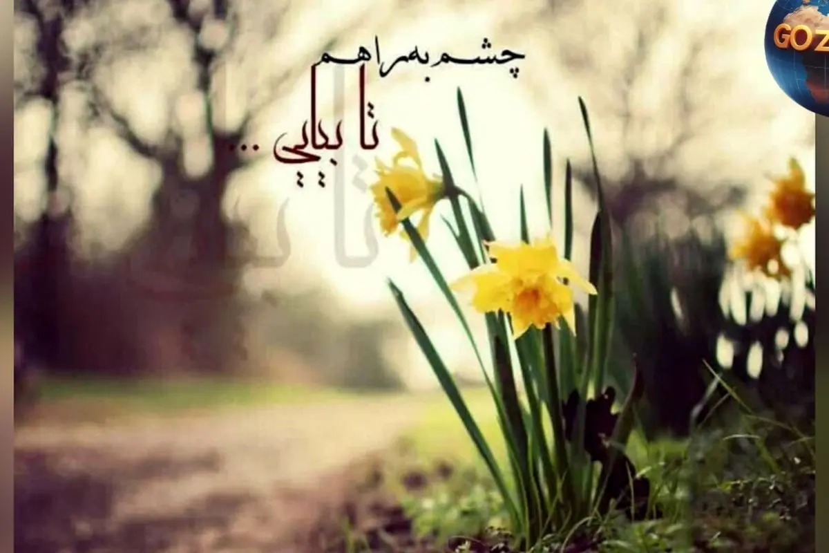 فال روزانه ۱۵ خرداد ۱۴۰۲ | پیشبینی کامل آینده و نکات مهم متولدین هر ماه