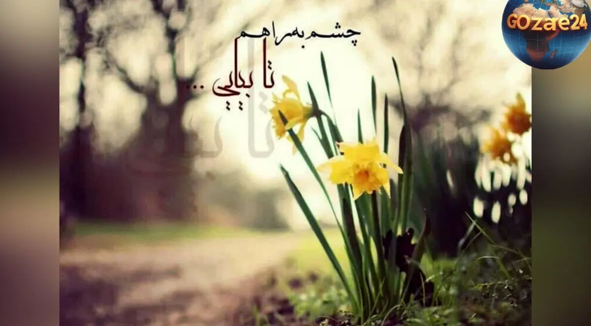 فال روزانه ۱۵ خرداد ۱۴۰۲ | پیش‌بینی کامل آینده و نکات مهم متولدین هر ماه