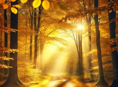 جملات شکرگزاری جدید برای جذب انرژی مثبت و موفقیت (بخش سوم)