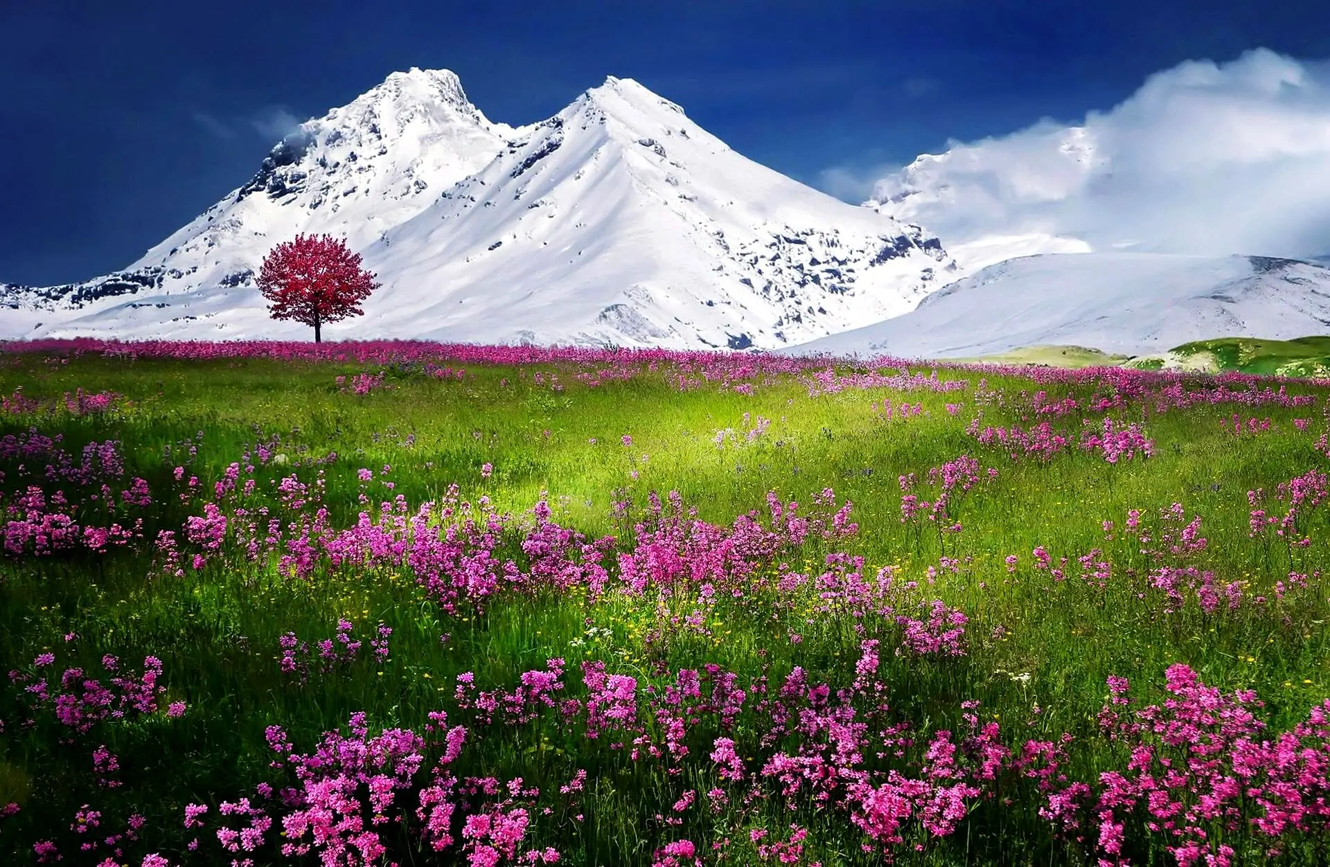 پیام‌های رسمی تبریک نوروز برای مشتریان و همکاران تجاری | متن‌های حرفه‌ای و اداری