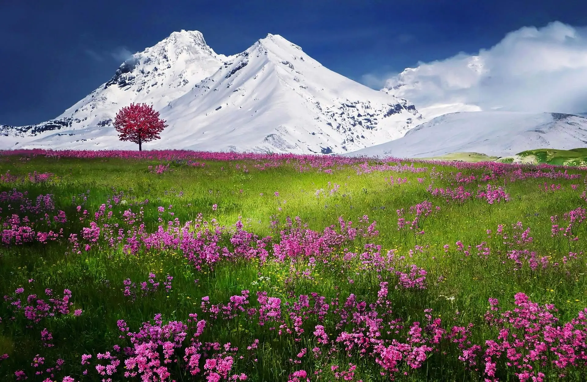 پیام‌های رسمی تبریک نوروز برای مشتریان و همکاران تجاری | متن‌های حرفه‌ای و اداری