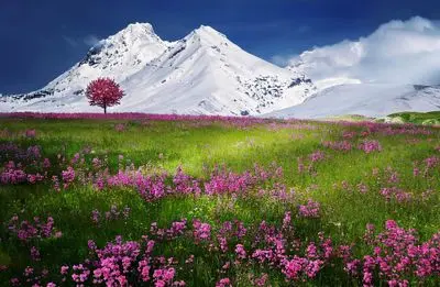 پیام‌های رسمی تبریک نوروز برای مشتریان و همکاران تجاری | متن‌های حرفه‌ای و اداری
