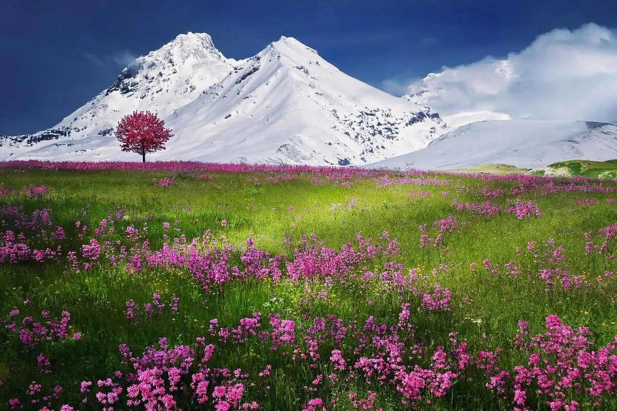 پیام‌های رسمی تبریک نوروز برای مشتریان و همکاران تجاری | متن‌های حرفه‌ای و اداری