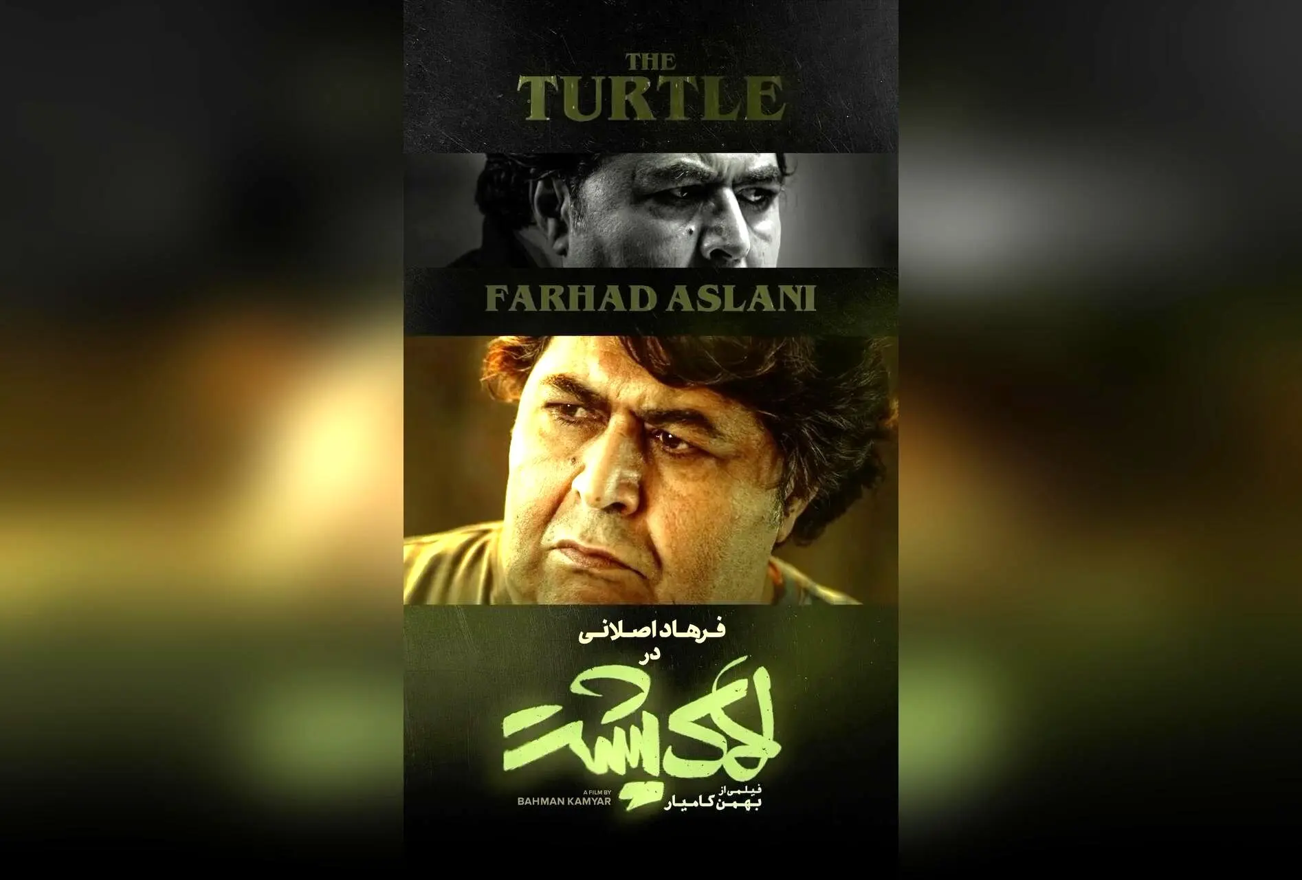 در «لاک پشت» با فرهاد اصلانی، حیات حیوانات جذاب و دیدنی در سینماهای کشور آغاز می‌شود | فیلمی از بهمن کامیار، پخش توسط مهرگان فیلم