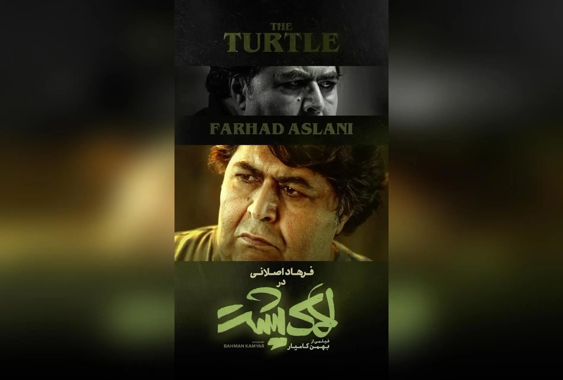 در «لاک پشت» با فرهاد اصلانی، حیات حیوانات جذاب و دیدنی در سینماهای کشور آغاز می‌شود | فیلمی از بهمن کامیار، پخش توسط مهرگان فیلم