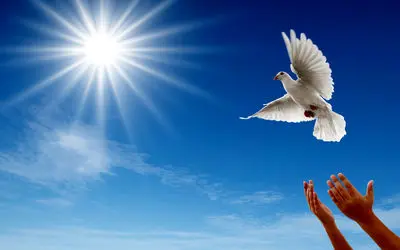 جملات الهام‌بخش روز ۲۷ خرداد ۱۴۰۴ | ریشه‌های محکم، دل‌های استوار