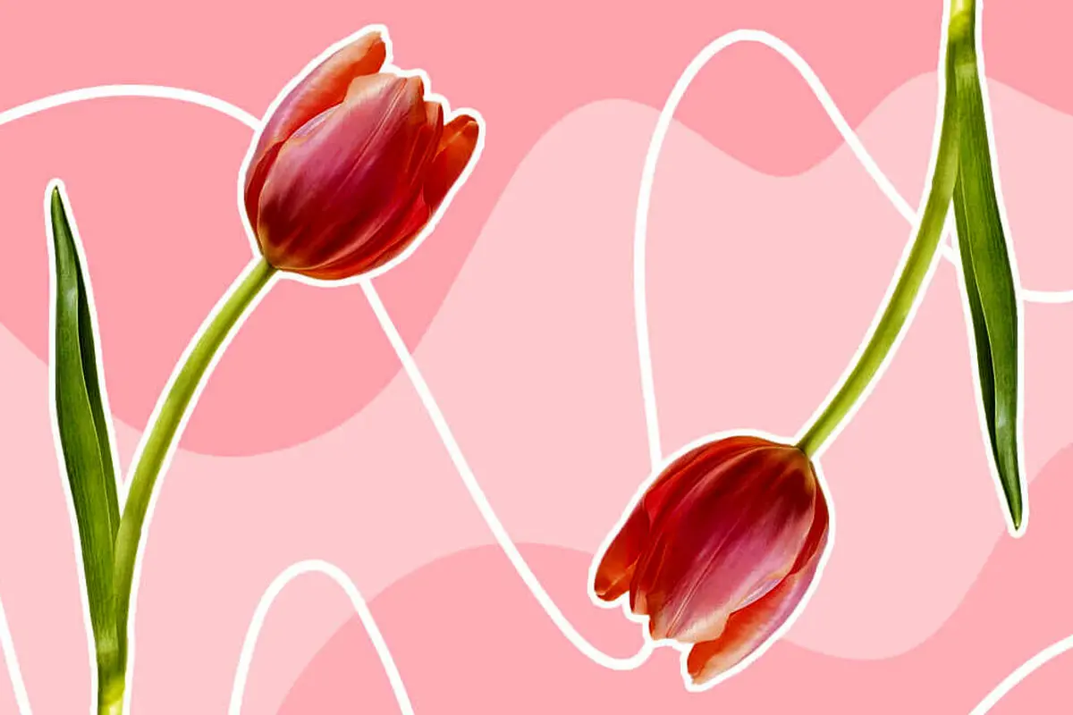 متن تبریک روز دختر از طرف برادر به خواهر؛ صمیمی و بااحساس