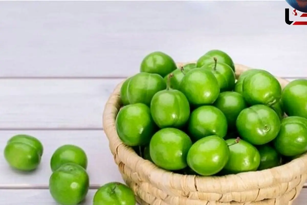 توصیههای مهم درباره مصرف گوجه سبز در بارداری، عوارض و نکات کلیدی سلامت
