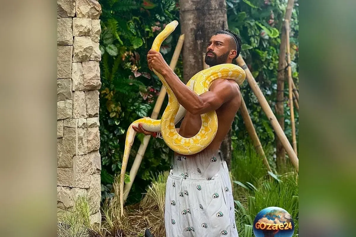 رامین رضائیان در قفس ببر: عاشق ناز و عشوه حیوانات شد + ویدئو و جزئیات زندگی ستاره فوتبال