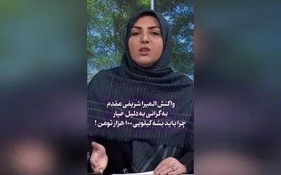 واکنش المیرا شریفی مقدم به گرانی بی‌دلیل خیار: چرا قیمت یک کیلو خیار به ۱۰۰ هزار تومان رسیده است؟