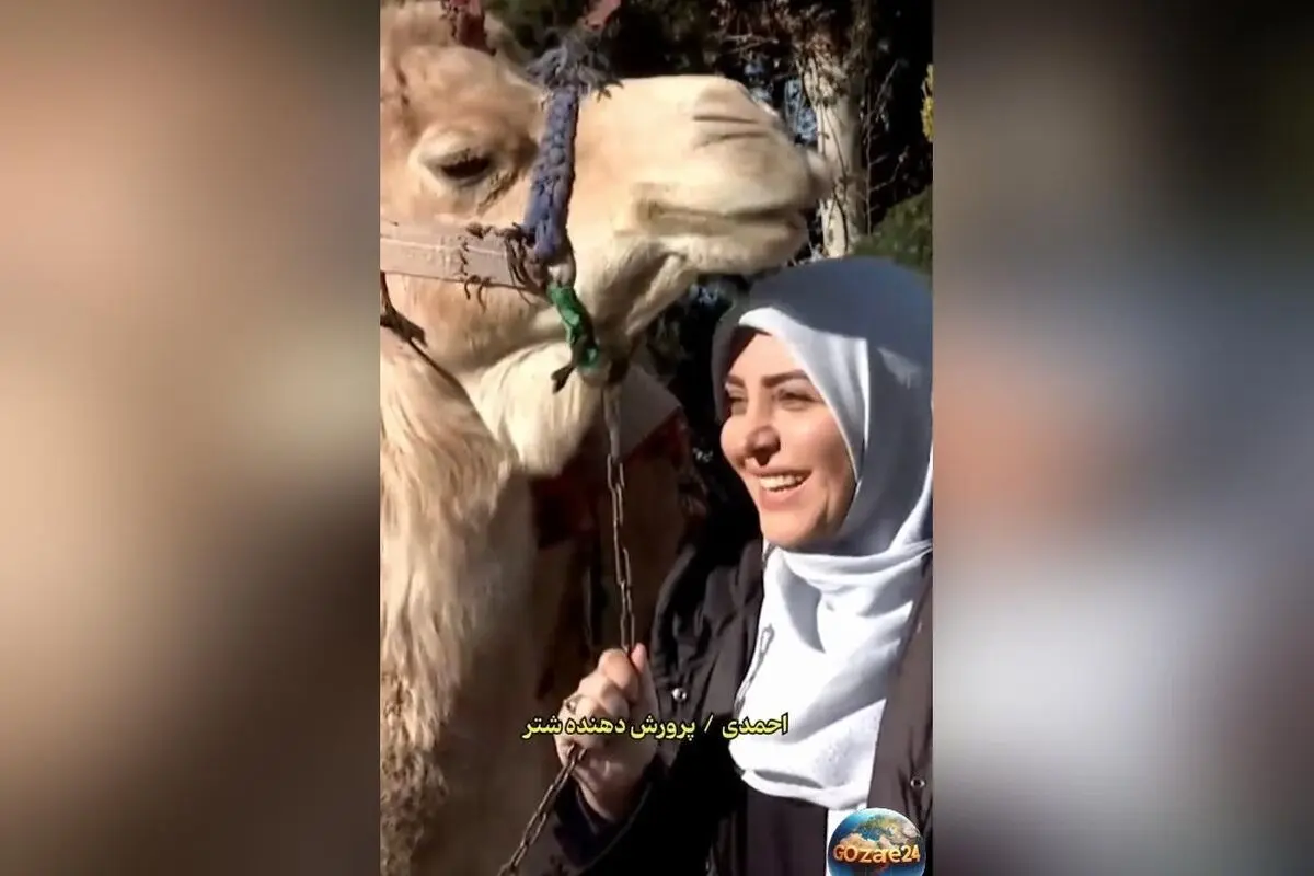 المیرا شریفی‌مقدم در کنایه‌ای نیش دار به انسان‌های شترصفت: «شتر نباشید!» + واکنش‌ها و جزئیات پشت صحنه