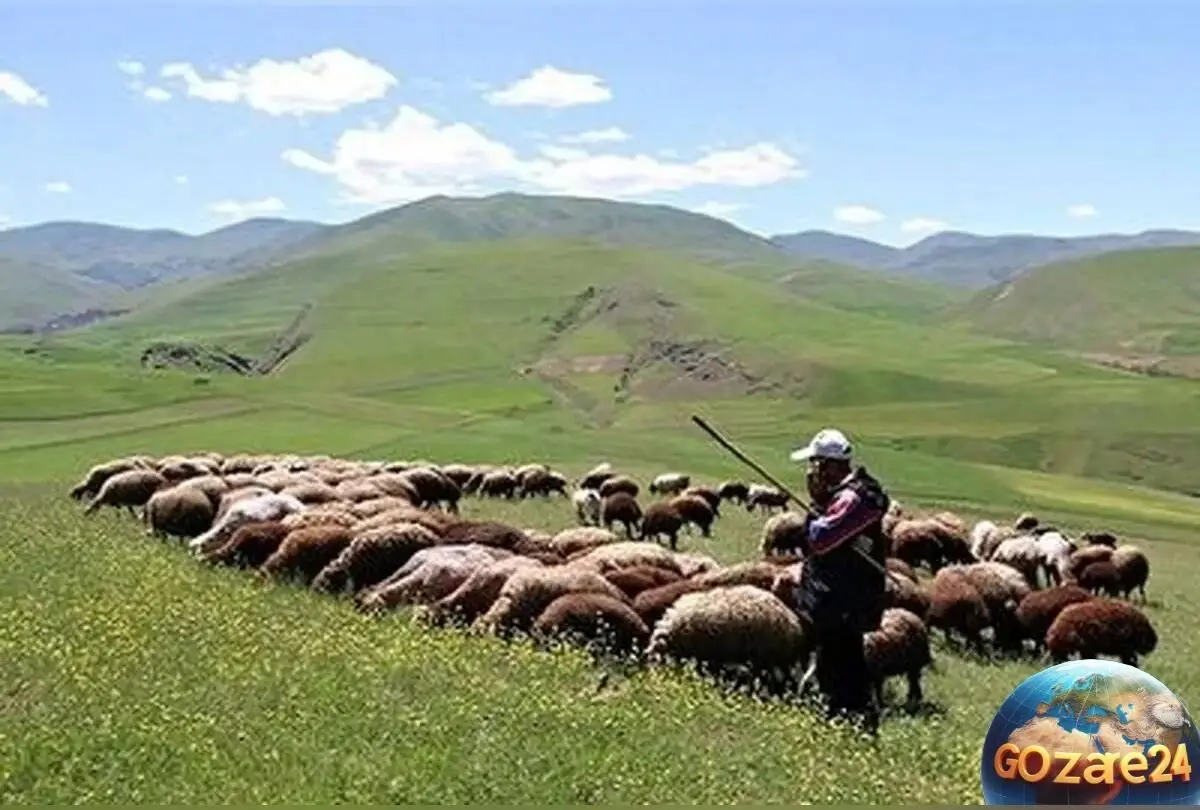 چوپان ایرانی با صدای استاد شجریان؛ از غم و دلتنگی تا رویای خوانندگی در برنامه تلویزیونی