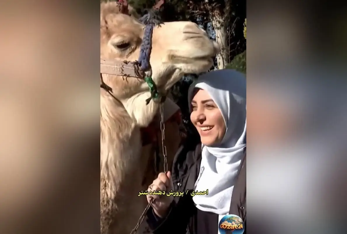 المیرا شریفی‌مقدم با کنایه نیش‌دار به انسان‌های شترصفت: از کینه‌توزی و دشمنی پرهیز کنید!