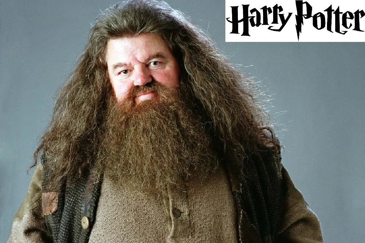 تصویر جدید نیک فراست در نقش هاگرید در سریال Harry Potter توسط HBO منتشر شد | تغییرات ظریف در ظاهر شخصیت کلاسیک