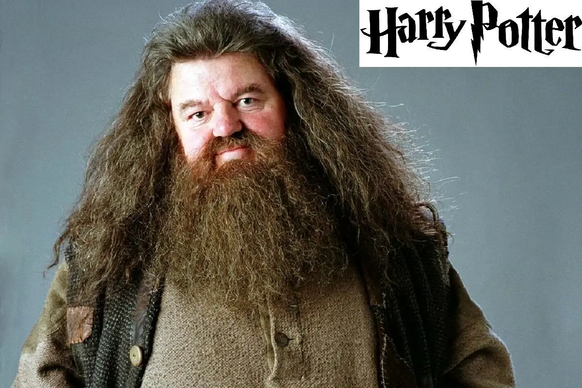 تصویر جدید نیک فراست در نقش هاگرید در سریال Harry Potter توسط HBO منتشر شد | تغییرات ظریف در ظاهر شخصیت کلاسیک