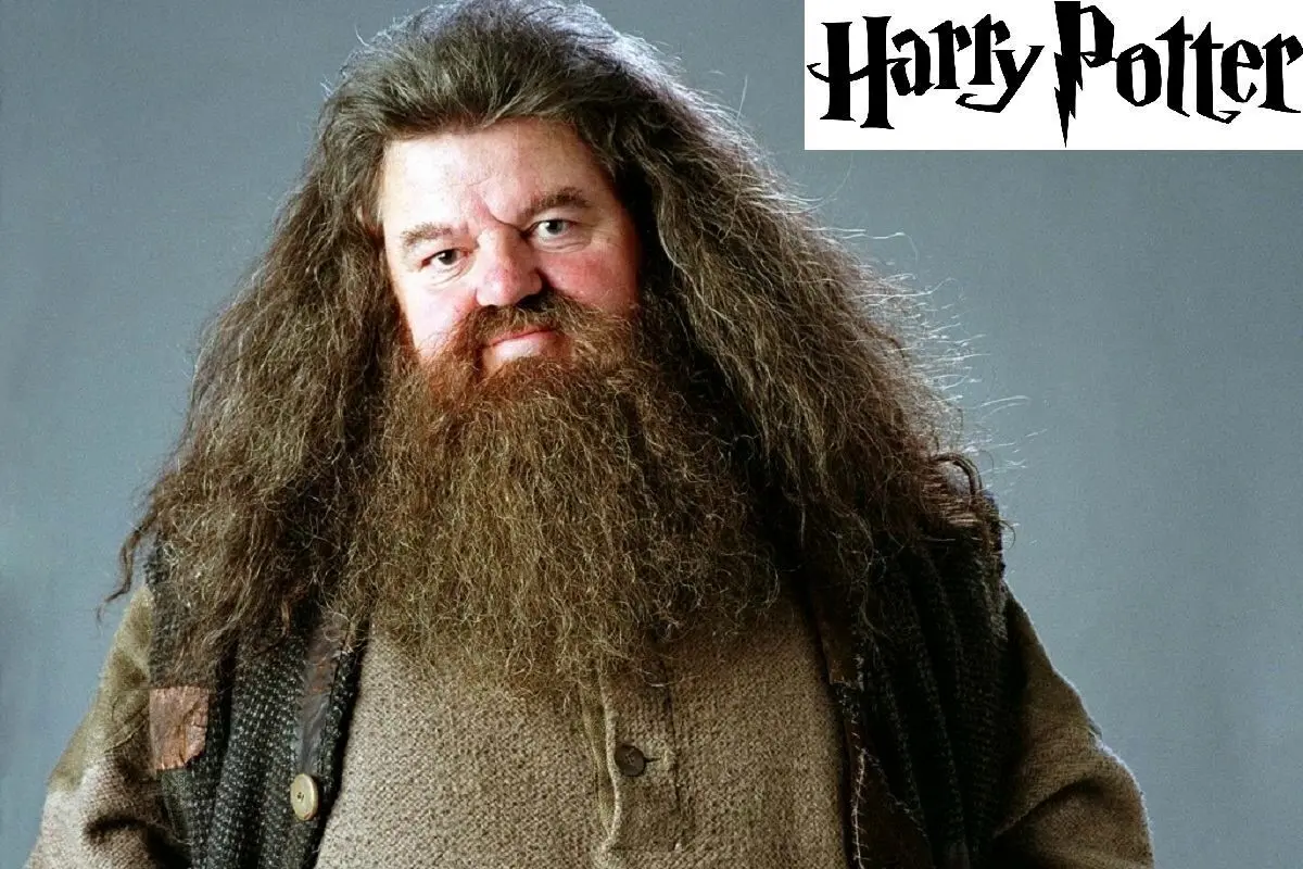 تصویر جدید نیک فراست در نقش هاگرید در سریال Harry Potter توسط HBO منتشر شد | تغییرات ظریف در ظاهر شخصیت کلاسیک